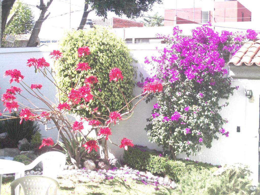 Casa Puebla La Paz别墅 外观 照片